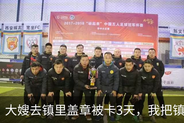 大嫂去镇里盖章被卡3天，我把镇长叫来：今天不盖，就别当镇长了