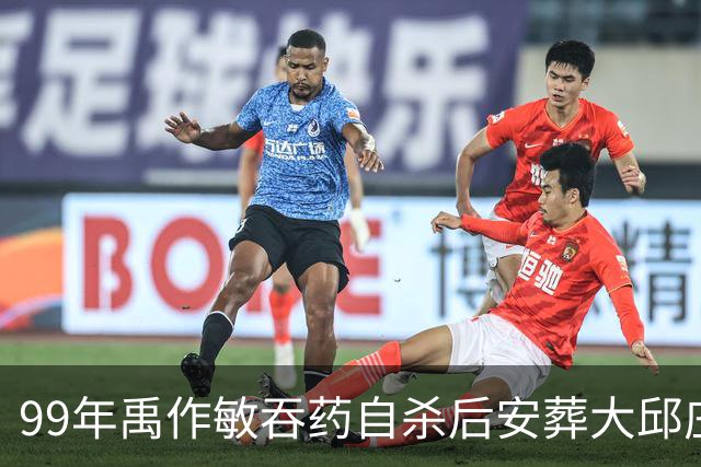 99年禹作敏吞药自杀后安葬大邱庄祖坟，坟前冷清无人祭拜！